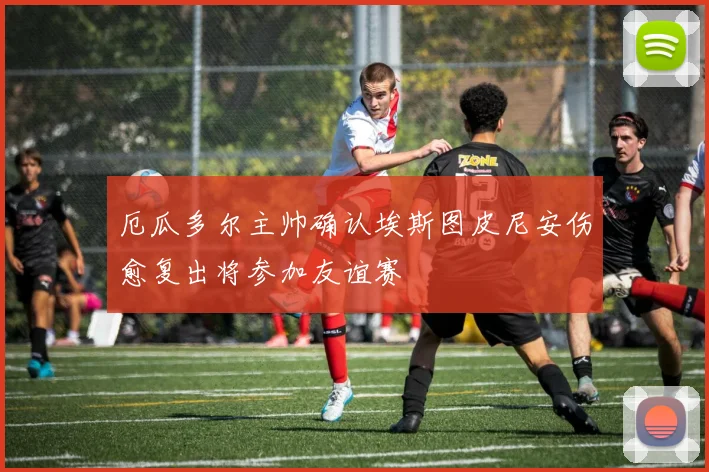 厄瓜多尔主帅确认埃斯图皮尼安伤愈复出将参加友谊赛
