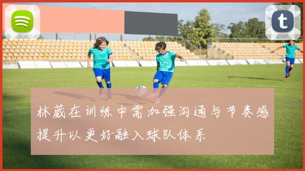 林葳在训练中需加强沟通与节奏感提升以更好融入球队体系