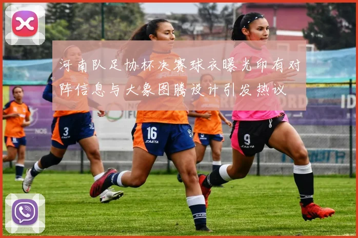 河南队足协杯决赛球衣曝光印有对阵信息与大象图腾设计引发热议